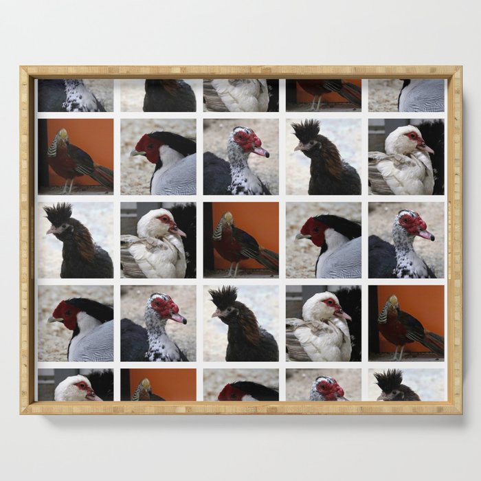 Closeup Animal Portraits Photographs. chickens, ducks Serving Tray