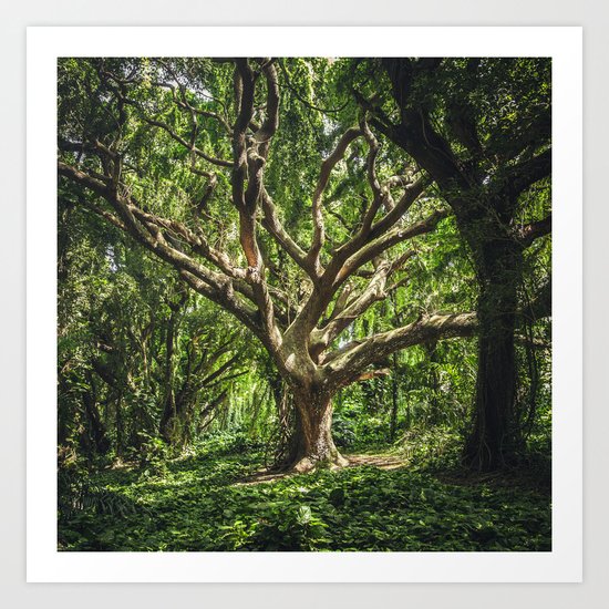THE TREE Art Print