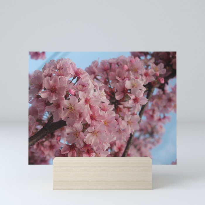 Cherry Tree Mini Art Print