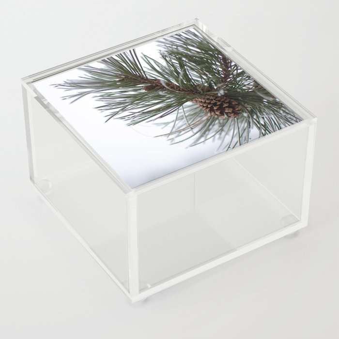 Frosted Cone Acrylic Box