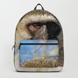 Velvet Monkey Closeup Portrait Backpack | Single, Monkeys, African, Wild, Primate, Wildlife, Exotic, Monkey, Woodland, Monkeyportrait 
