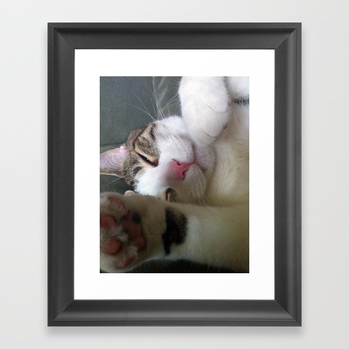 Best Cat that ever lived Framed Art Print