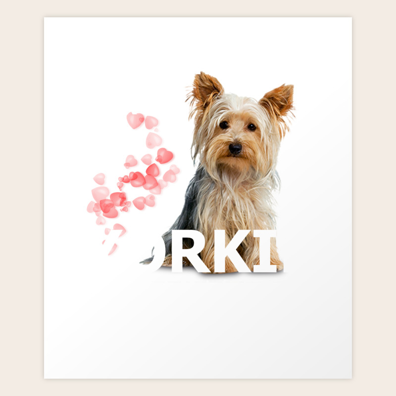 yorkie gifts dog owner