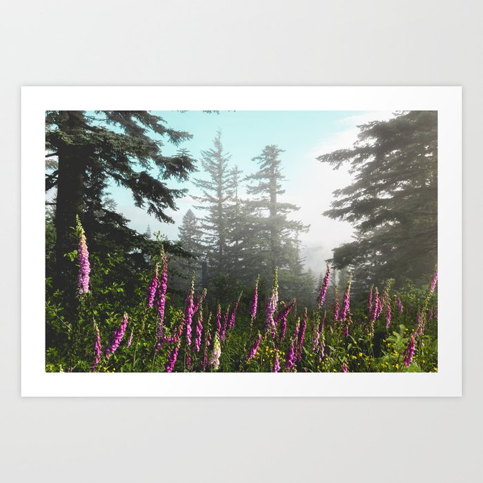 Misty Mountain Wildflowers Art Print