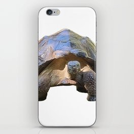 The wise old Tortoise iPhone Skin