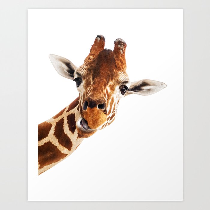 Giraffe Portrait // Wild Animal Cute Zoo Safari Madagascar Wildlife Nursery Decor Ideas Art Print