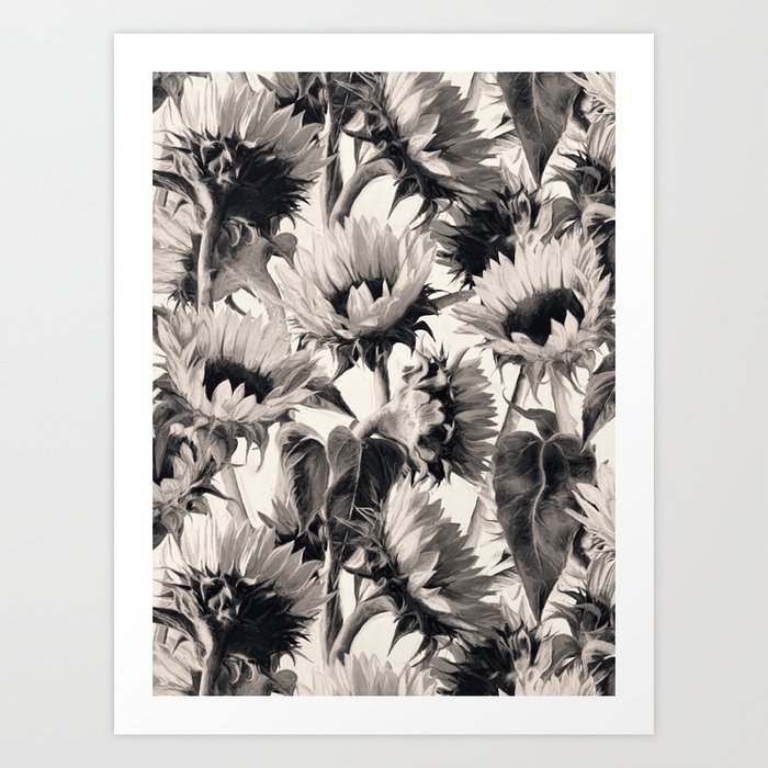Sunflowers in Soft Sepia Art Print