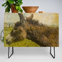 Vintage  cute brown donkey colt on the field Credenza
