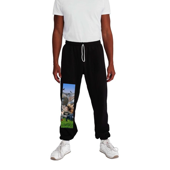 Animal Animals Rainbow Waterfall Group Scene Sweatpants