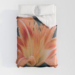 Daylily Photograph Duvet Cover