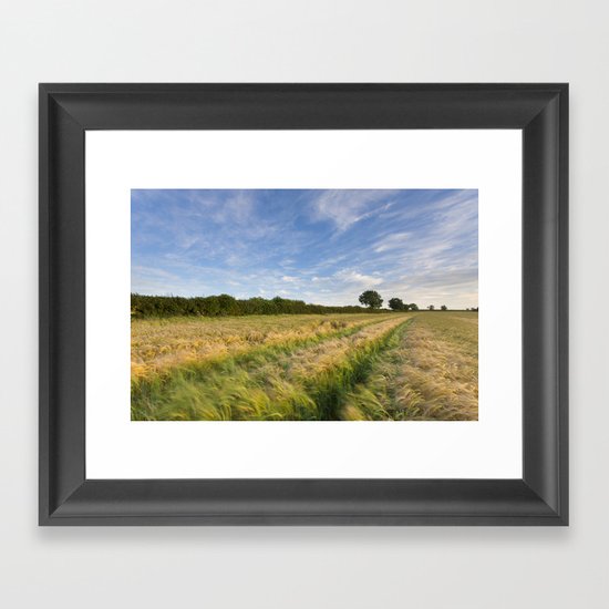 Field of Barley Framed Art Print