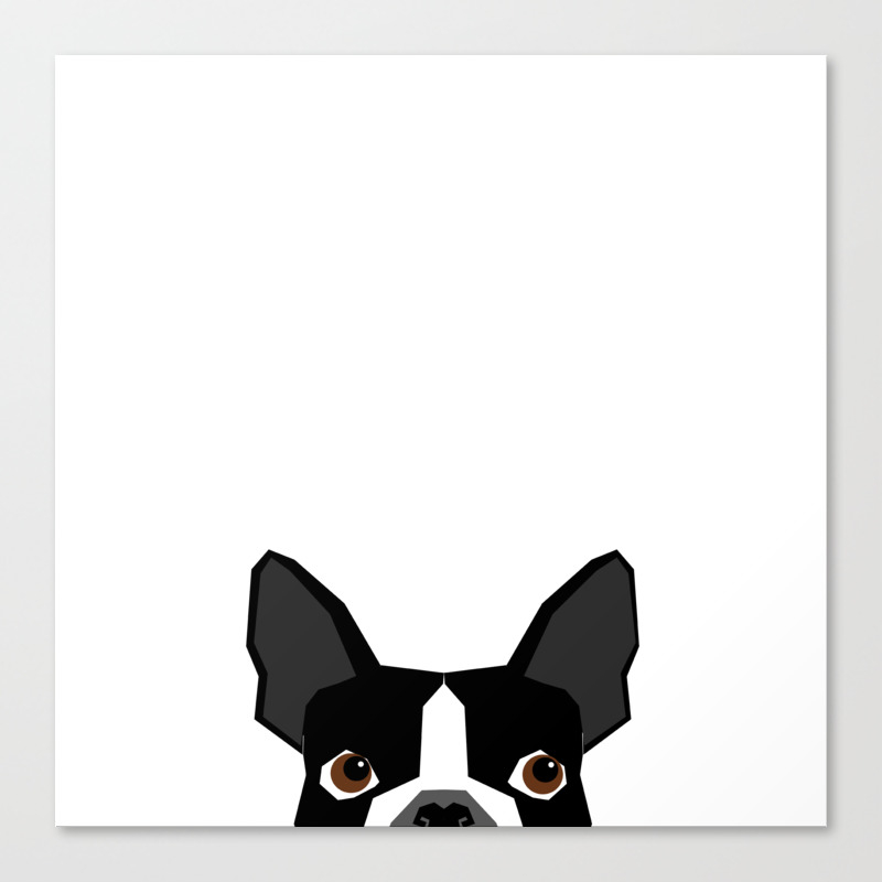 Boston Terrier Head Peeking Cute Dog Gifts Funny Must Haves Boston Terriers Canvas Print By Bostonterrier Society6