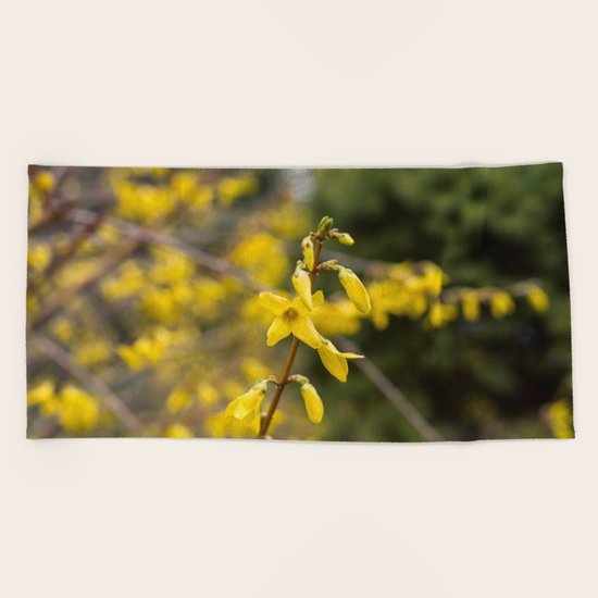 Forsythia Beach Towel