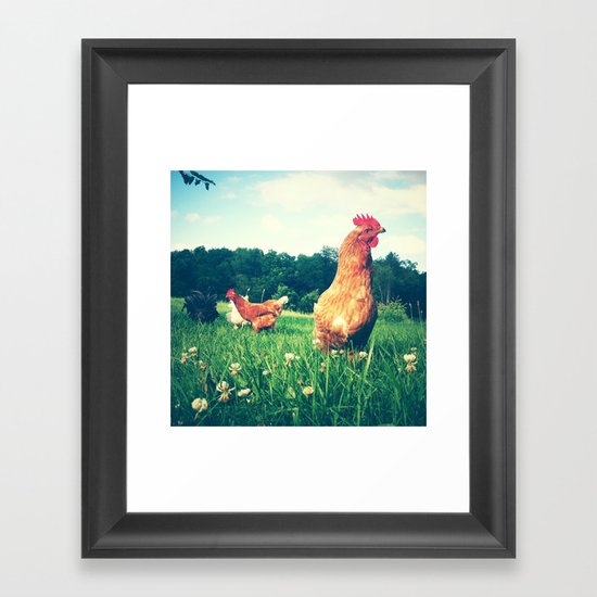 The Life of a Chicken Framed Art Print