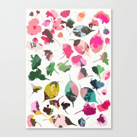 cherry blossom 3 Canvas Print