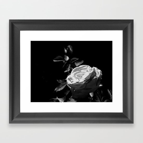 Rose - Black & White Framed Art Print