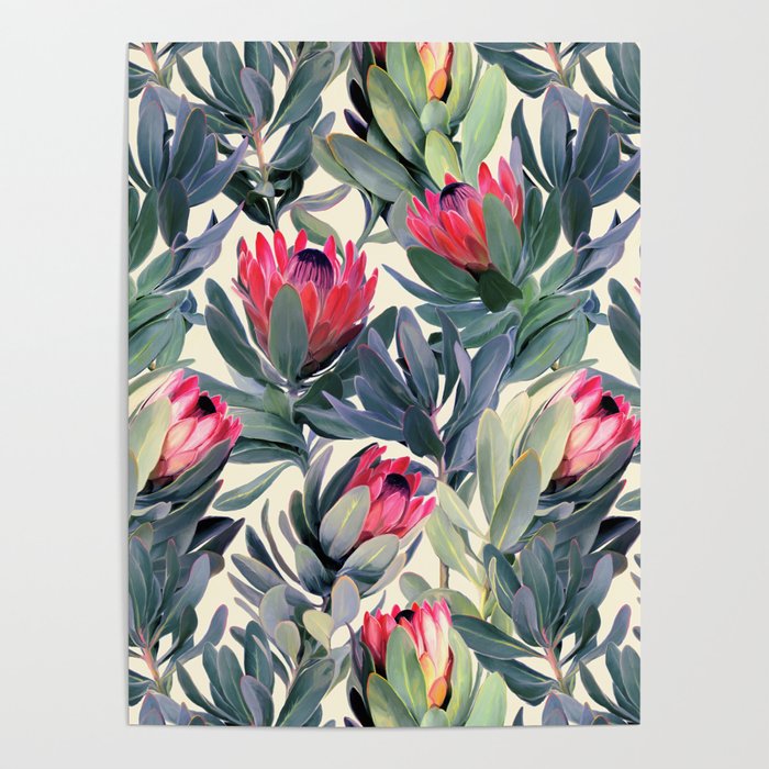 Painted Protea Pattern Poster