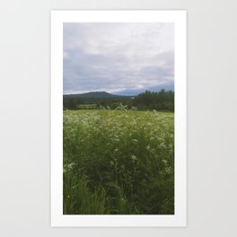 Fields of Hälsingland Art Print | Green, Moody, Color, Explore, Landscape, Scandinavia, Outdoors, Photo, Film, Swedish 
