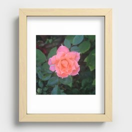 Full Bloom Recessed Framed Print
