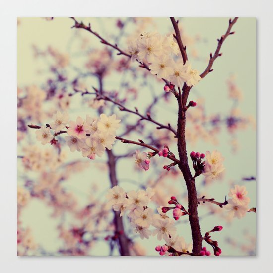 In The Air Canvas Print