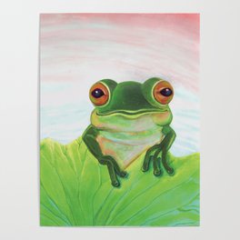 Green Frog in Pond Illustration  Poster