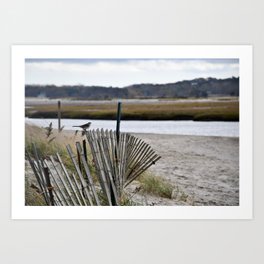 Bird on a coastal fence Art Print | Ocean, Capecod, Photo, Marsh, Shoreline, Bird, Animal, Nautical, Newengland, Sand 