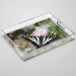 Swallowtail Butterfly Thistle Wildflower Nature Wildlife Garden Plants Insect Art Botanical Oregon Pacific Northwest Acrylic Tray