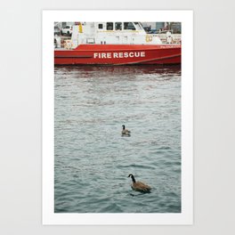 Canada and Canada Goose Art Print