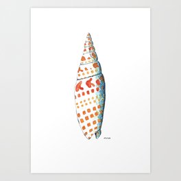 Mitre Sea Shell Art Print Art Print