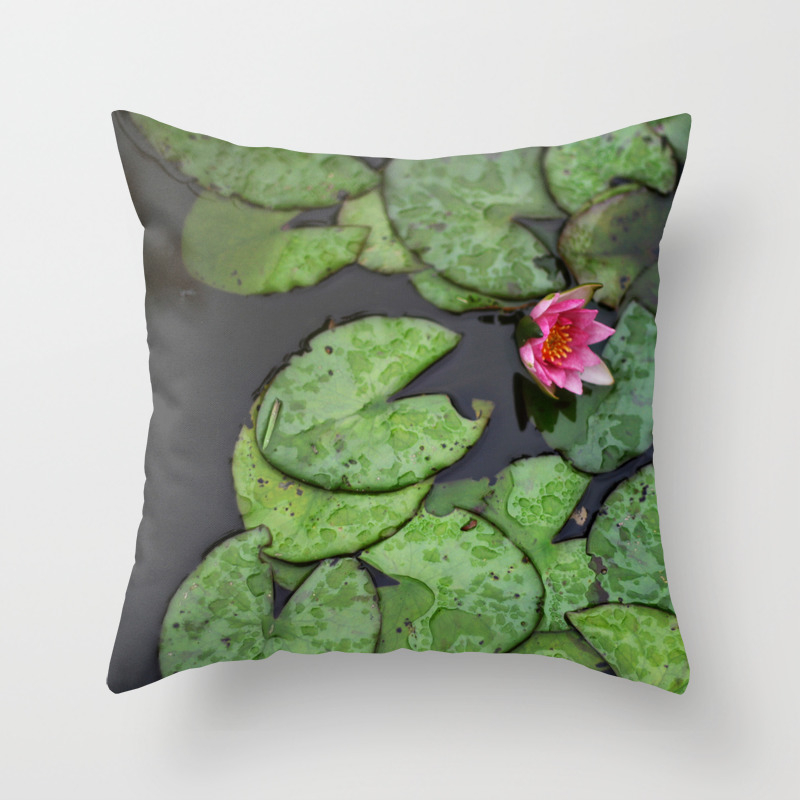 Afloat Lily Pad Nature Photograph Throw Pillow By Heathergreen Society6 Afloat Lily Pad Nature Photograph Throw Pillow By Heathergreen Society6