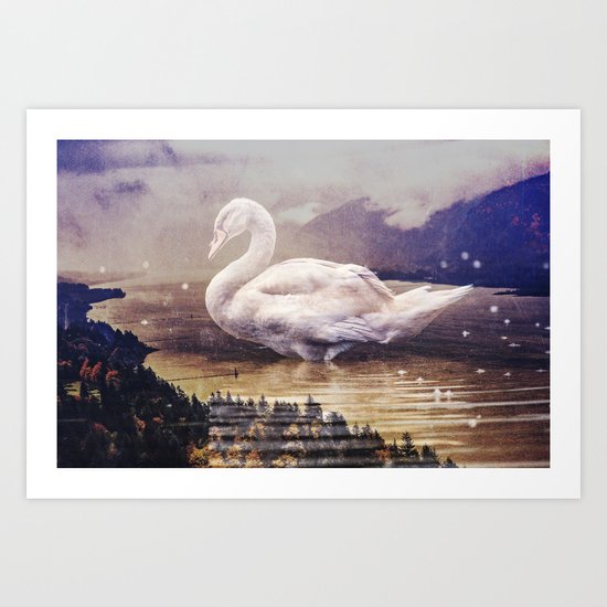 Swan Lake Art Print