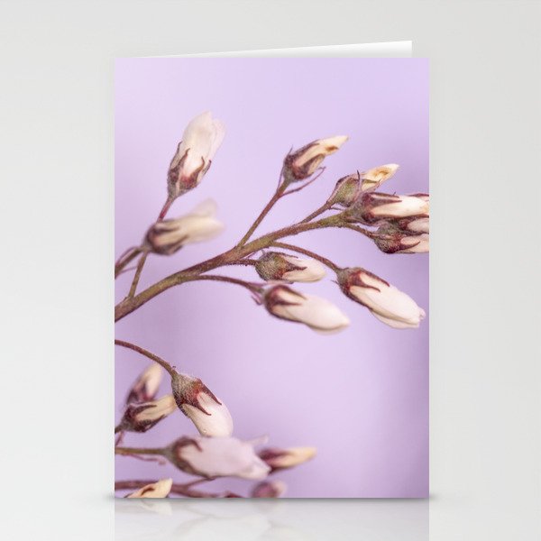 Flower blossom's Stationery Cards