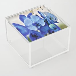 Blue Orchids Acrylic Box