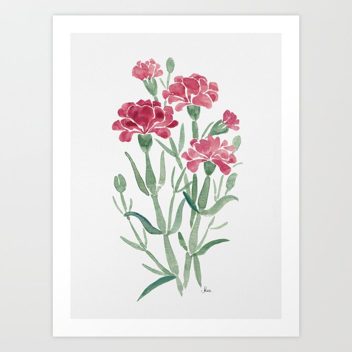Carnation Watercolour Study Art Print