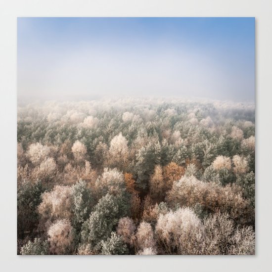Vanish in the Snow Canvas Print