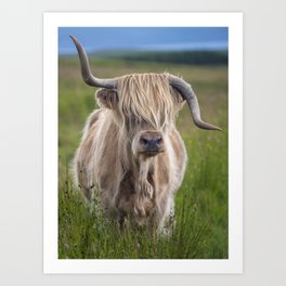 Highland Cow III Art Print