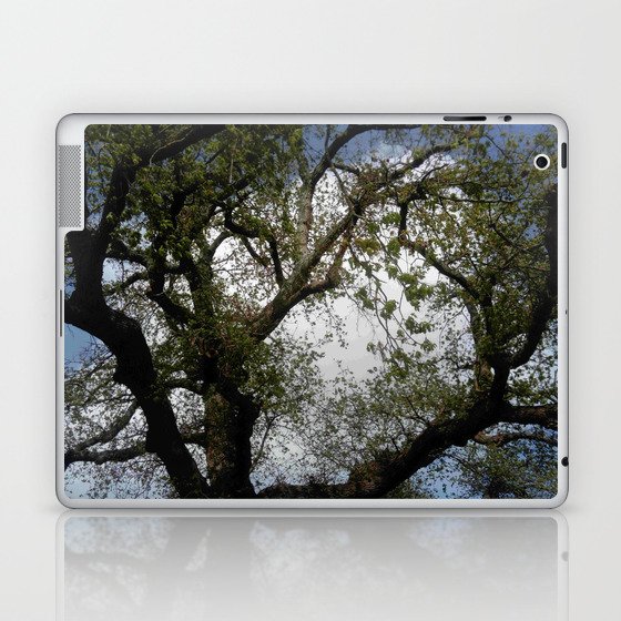 Sky and tree 5 Laptop & iPad Skin