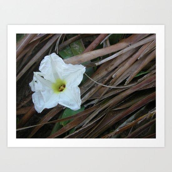Beach Flower Art Print