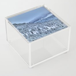 Moody Spring Snow in a Scottish Highland Pine Forest ( in I Art and Afterglow) Acrylic Box