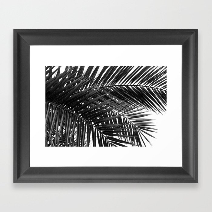 Tropical Palm Leaves - Black and White Nature Photography Framed Art Print