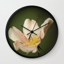 October rose Wall Clock