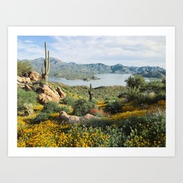Arizona Blooms Art Print
