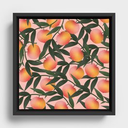 Lots of peaches Framed Canvas