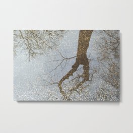 Reflection of trees in a water puddle on the road Metal Print