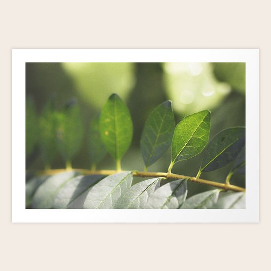New Day Art Print