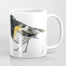 Hihi, New Zealand native Stitchbird Coffee Mug
