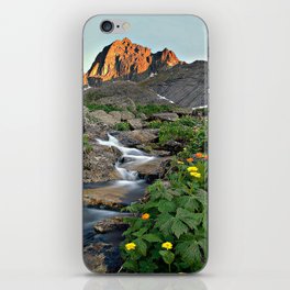 nature iPhone Skin