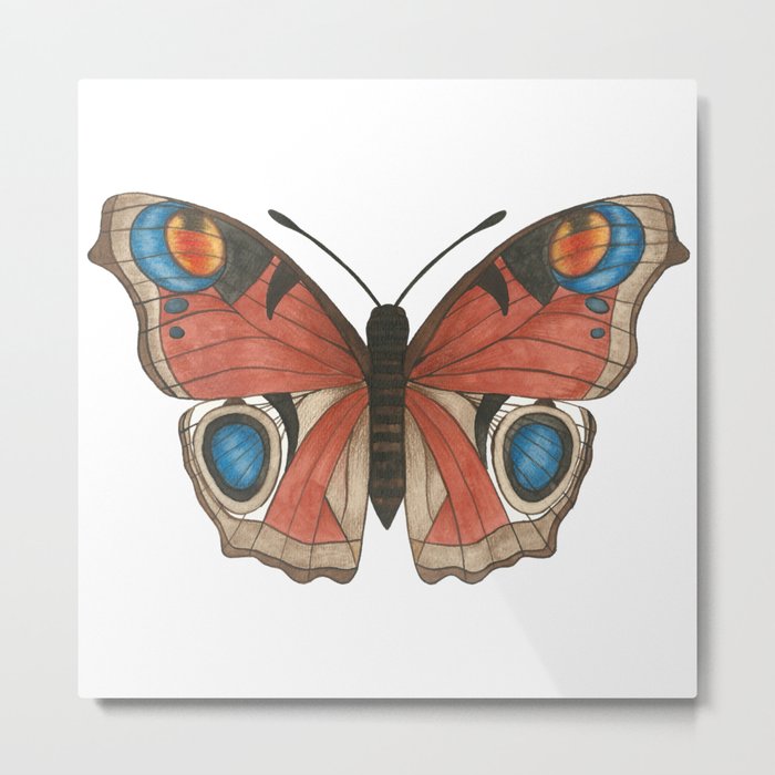 Peacock Butterfly Illustration Metal Print