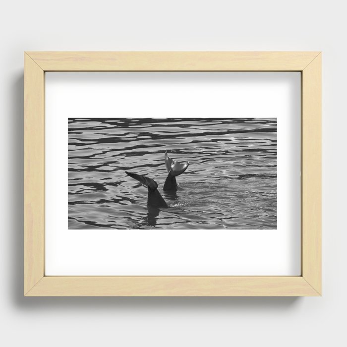 Black and White Dolphins Recessed Framed Print