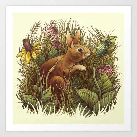 The Cottontail and the Katydid Art Print